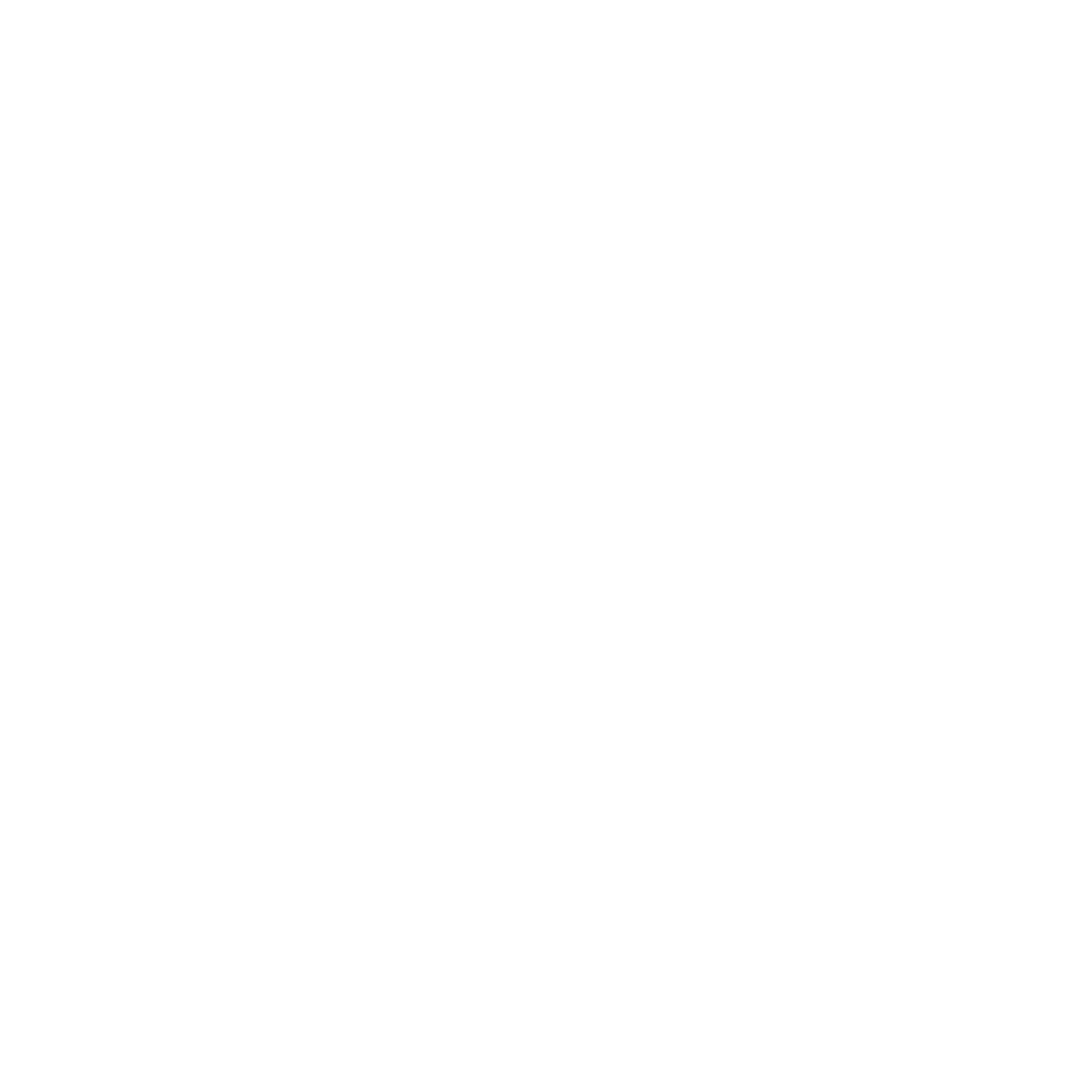 Emory Consulting Services